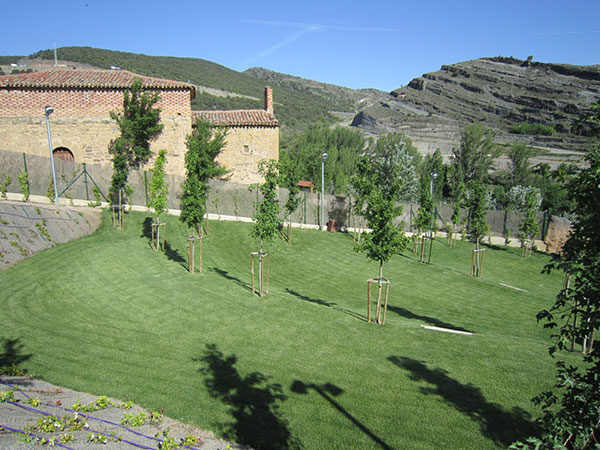 Césped Natural instalado por Hidrojardín Césped_Natural_instalado_por_Hidrojardín